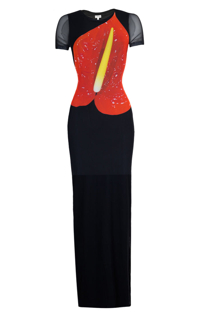 LOEWE Anthurium Dress Black Red