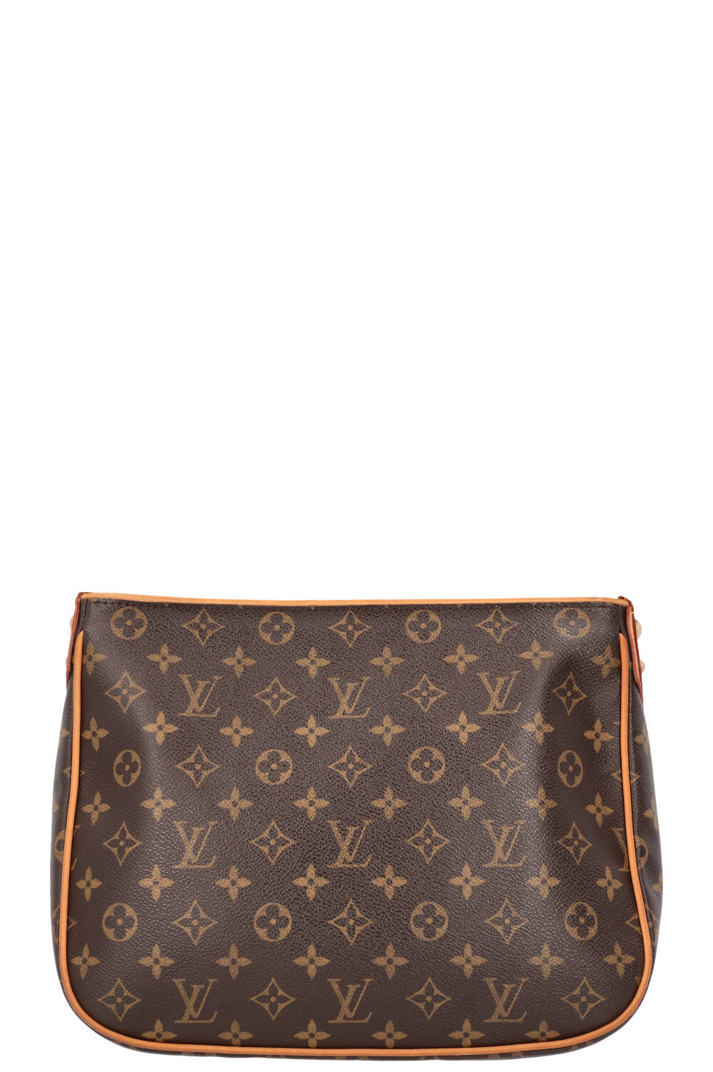 LOUIS VUITTON Hudson GM MNG Canvas