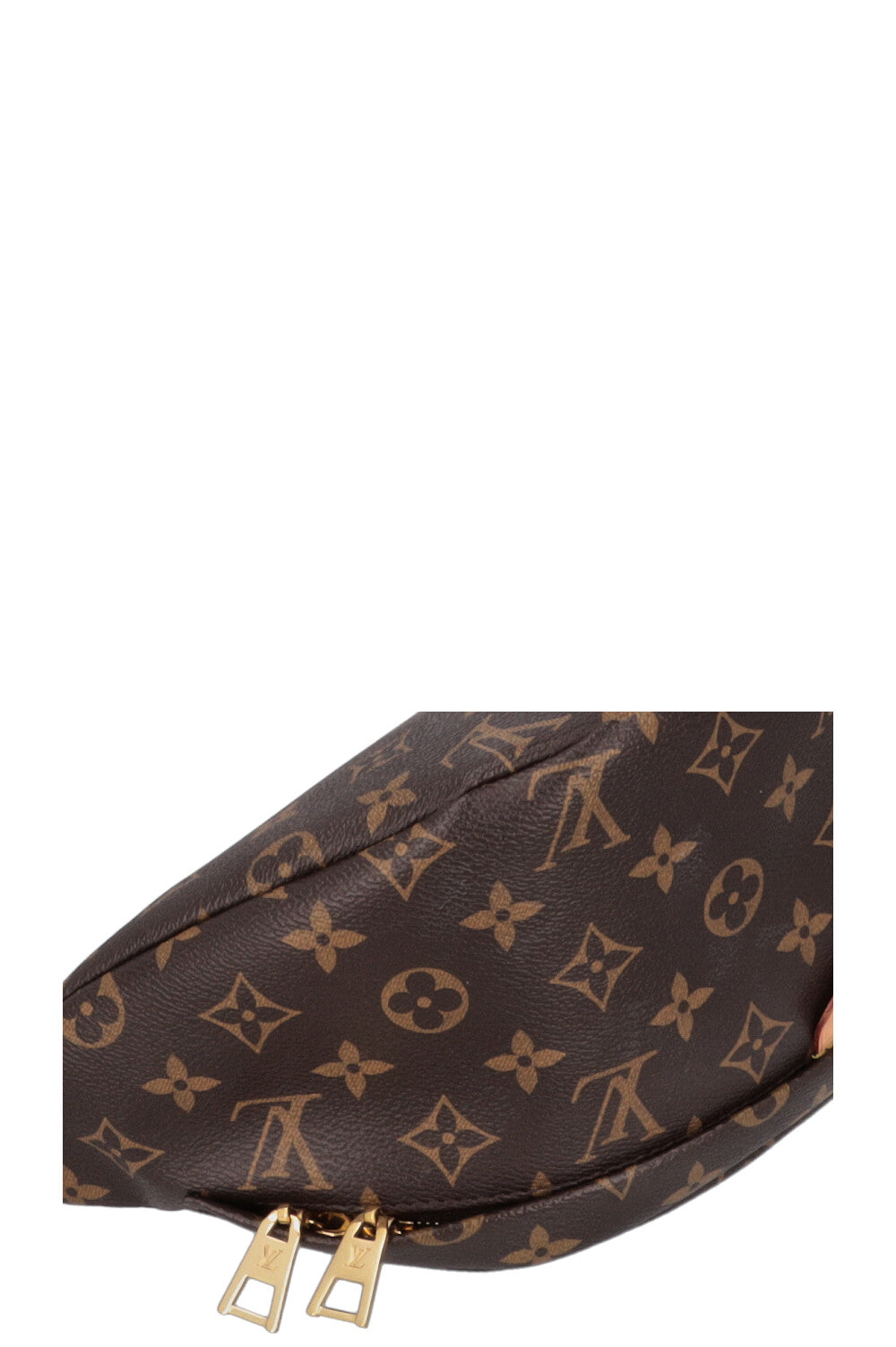 LOUIS VUITTON MNG Bumbag